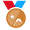 Bronze Badge 2015/16