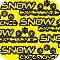 Snow Experience